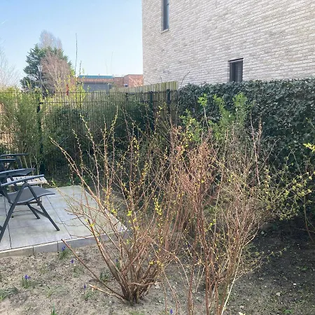 Lin Et L'autre Limmen