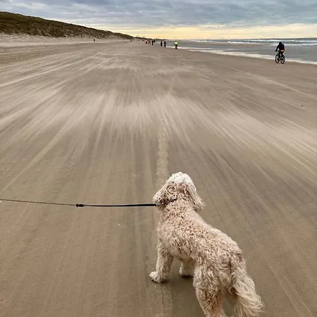 Apartmán Lin Et L'autre *