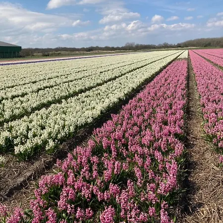 Apartmán Lin Et L'autre *