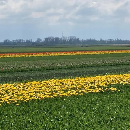 Lin Et L'autre Limmen